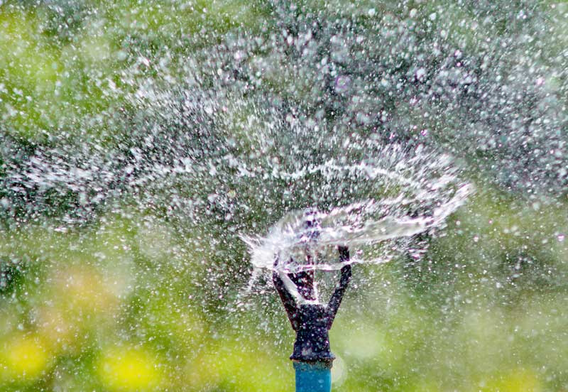 Sprinkler Backflow Prevention