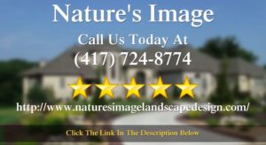 5 Star Review by Bonita S for Nature's Image in Springfield, MO